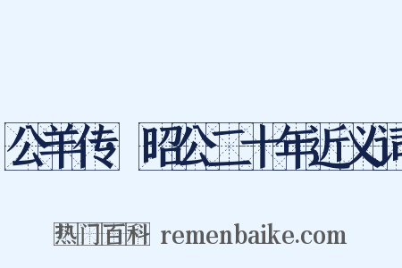 公羊传·昭公二十年近义词是什么意思的图片